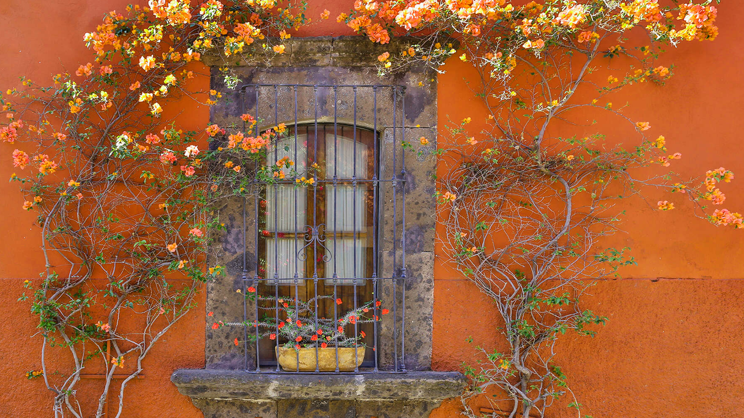 San Miguel de Allende Wedding Celebration